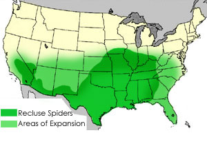 brown-recluse-spiders map